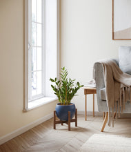 Load image into Gallery viewer, Deep Navy stand:walnut