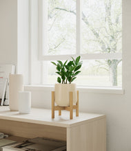 Load image into Gallery viewer, ZZ Plant
