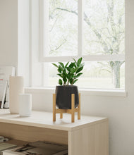 Load image into Gallery viewer, ZZ Plant