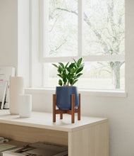 Load image into Gallery viewer, ZZ Plant