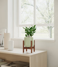 Load image into Gallery viewer, ZZ Plant