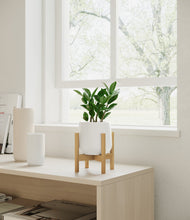 Load image into Gallery viewer, ZZ Plant