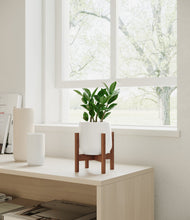 Load image into Gallery viewer, ZZ Plant