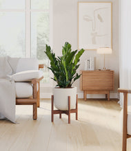 Load image into Gallery viewer, Natural Bamboo stand:walnut