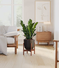 Load image into Gallery viewer, Stone Black stand:walnut