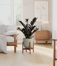 Lade das Bild in den Galerie-Viewer, Sage Green stand:dark