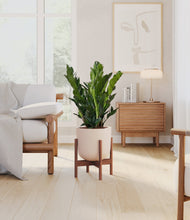 Load image into Gallery viewer, Sandy Pink stand:walnut