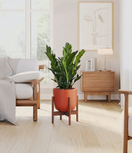 Load image into Gallery viewer, Earth Red stand:walnut
