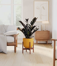 Lade das Bild in den Galerie-Viewer, Sunset Orange stand:dark