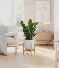 Load image into Gallery viewer, Natural Bamboo stand:bamboo