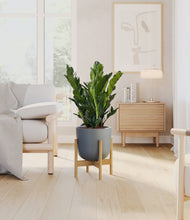 Load image into Gallery viewer, Iron Gray stand:bamboo