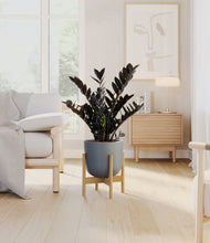 Lade das Bild in den Galerie-Viewer, Sage Green stand:light