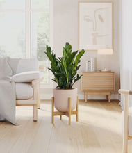 Load image into Gallery viewer, Sandy Pink stand:bamboo