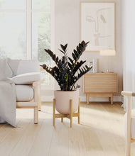 Lade das Bild in den Galerie-Viewer, Sandy Pink stand:light