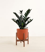 Lade das Bild in den Galerie-Viewer, Earth Red stand:dark