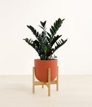 Lade das Bild in den Galerie-Viewer, Earth Red stand:light