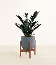 Lade das Bild in den Galerie-Viewer, Iron Gray stand:dark