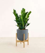 Load image into Gallery viewer, Iron Gray stand:bamboo