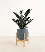 Lade das Bild in den Galerie-Viewer, Iron Gray stand:light