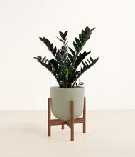 Lade das Bild in den Galerie-Viewer, Sage Green stand:dark