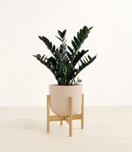 Lade das Bild in den Galerie-Viewer, Sandy Pink stand:light
