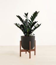 Lade das Bild in den Galerie-Viewer, Stone Black stand:dark
