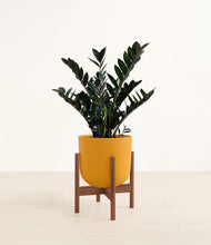 Lade das Bild in den Galerie-Viewer, Sunset Orange stand:dark