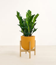 Load image into Gallery viewer, Sunset Orange stand:bamboo