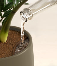 Load image into Gallery viewer, Olive stand:all