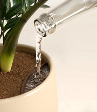 Load image into Gallery viewer, Almond Green stand:all