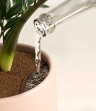 Load image into Gallery viewer, Gentle Pink stand:all