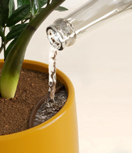 Load image into Gallery viewer, Mustard stand:all