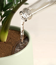 Load image into Gallery viewer, Turquoise stand:all