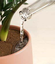 Load image into Gallery viewer, Calm Rose stand:all