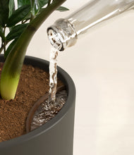 Load image into Gallery viewer, Dark Olive stand:all