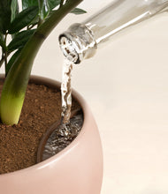 Load image into Gallery viewer, Calm Rose stand:all