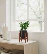 Load image into Gallery viewer, ZZ Plant