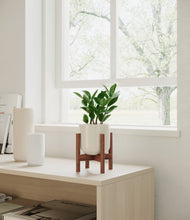 Load image into Gallery viewer, ZZ Plant