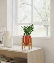 Load image into Gallery viewer, ZZ Plant