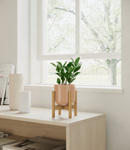 Load image into Gallery viewer, ZZ Plant