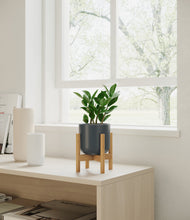 Load image into Gallery viewer, ZZ Plant