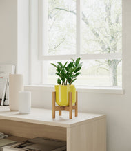 Load image into Gallery viewer, ZZ Plant