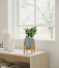 Load image into Gallery viewer, ZZ Plant