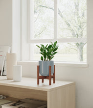 Load image into Gallery viewer, ZZ Plant