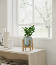 Load image into Gallery viewer, ZZ Plant