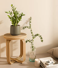 Load image into Gallery viewer, Olive