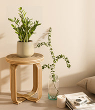 Load image into Gallery viewer, Almond Green