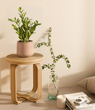 Load image into Gallery viewer, Gentle Pink