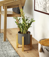 Load image into Gallery viewer, Dark Olive stand:light