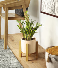 Load image into Gallery viewer, Cream stand:light